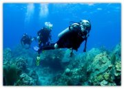 Scuba Diving with your Kids