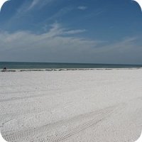 Free Travel Videos: Tampa Florida Vacations