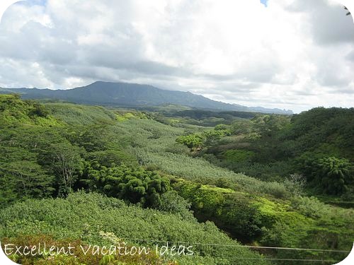 Things to do in Kauai